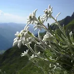 Au Clair Matin ,la Mure, Les Passerelles Monteynard Casa vacanze