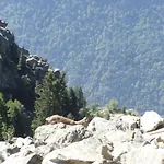 Casa vacanze Au Clair Matin ,la Mure, Les Passerelles Monteynard *
