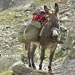 Au Clair Matin ,la Mure, Les Passerelles Monteynard Casa vacanze Pierre-Chatel