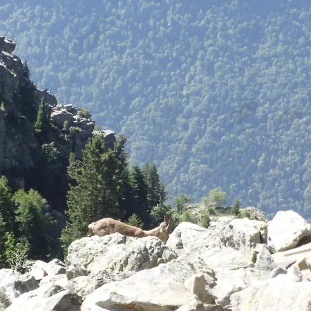 Hébergement de vacances Au Clair Matin ,la Mure, Les Passerelles Monteynard *