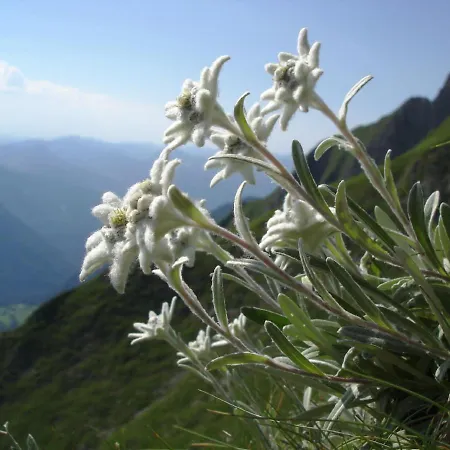 Au Clair Matin ,la Mure, Les Passerelles Monteynard Dom wakacyjny