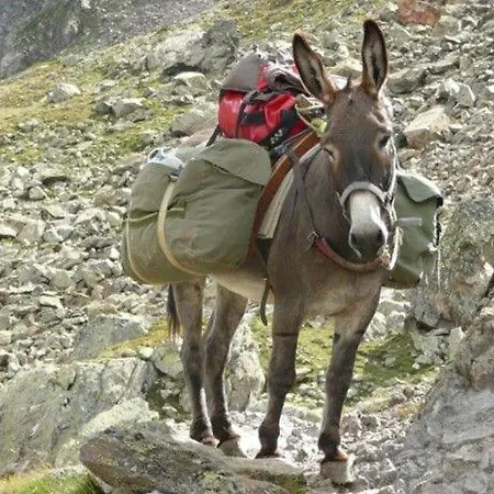 Au Clair Matin ,la Mure, Les Passerelles Monteynard Dom wakacyjny Pierre-Chatel